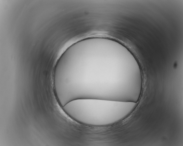 X0000115671382200911120956