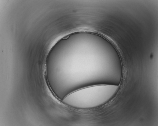 X0000115671383200911120956