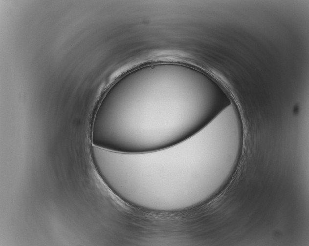 X0000115671384200911120956