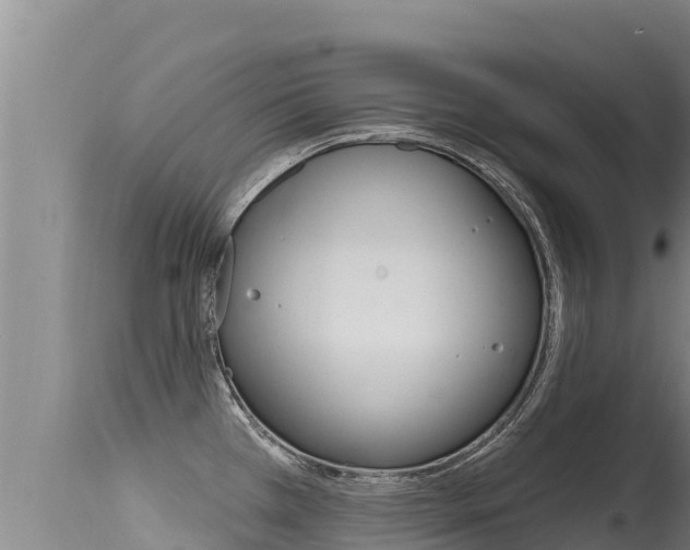 X0000115671385200911120956