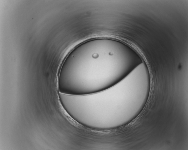 X0000115671388200911120956