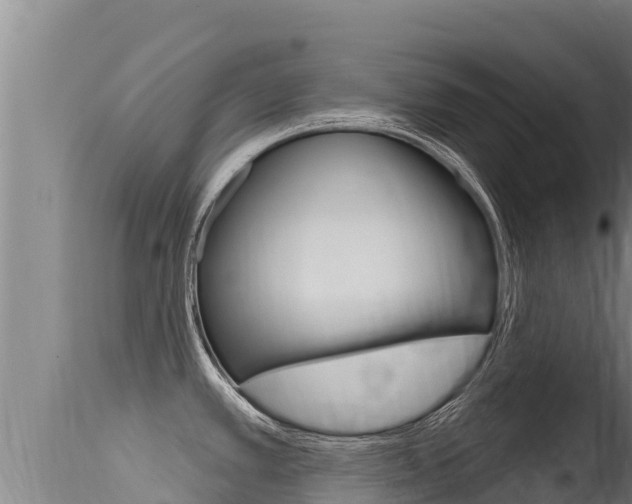 X0000115671389200911120956
