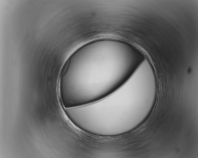 X0000115671391200911120956