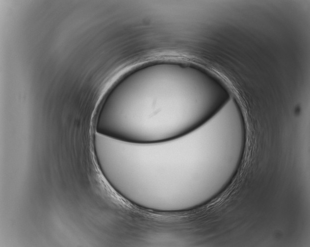 X0000115671392200911120956
