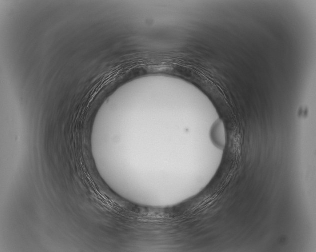 X0000115671393200911120955