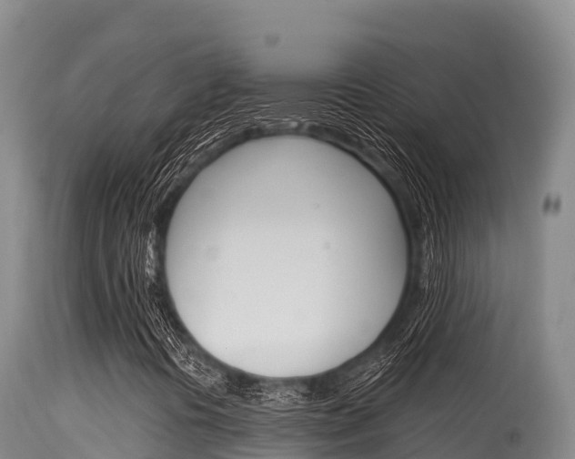 X0000115671394200911120955