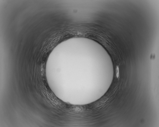 X0000115671395200911120955