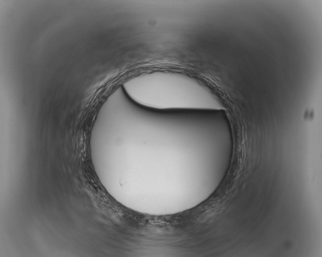 X0000115671398200911120955