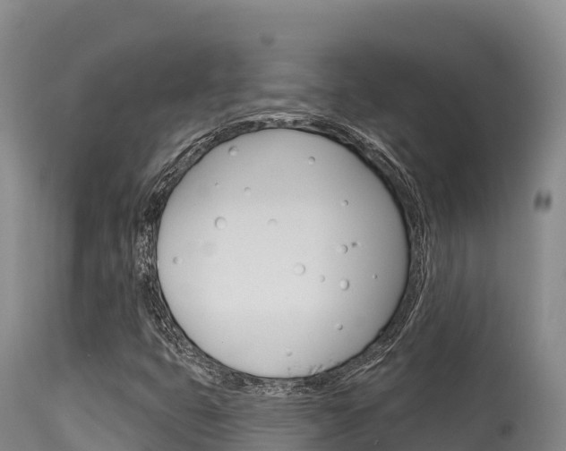 X0000115671399200911120955