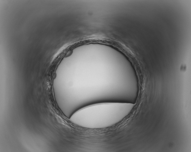 X0000115671400200911120955