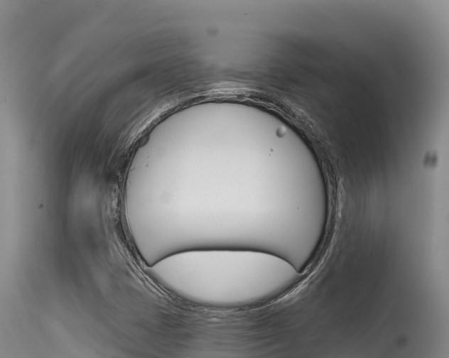 X0000115671401200911120955