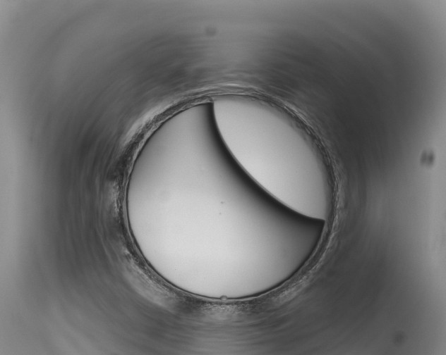 X0000115671402200911120955