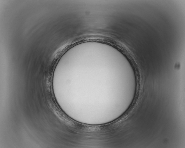 X0000115671403200911120955