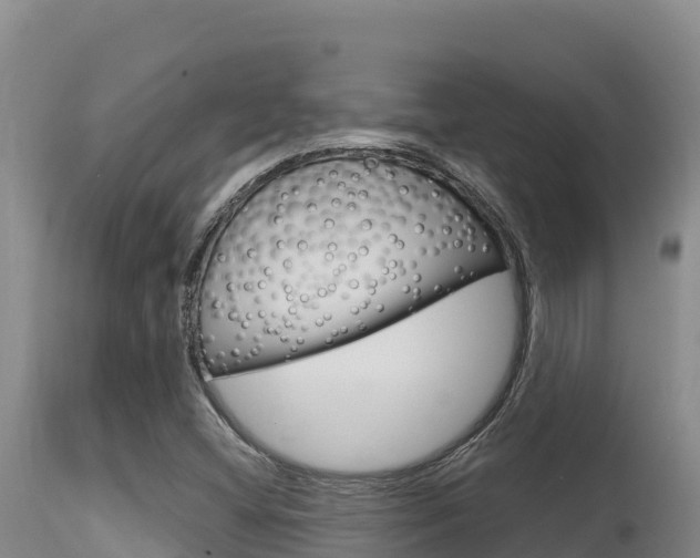 X0000115671404200911120955