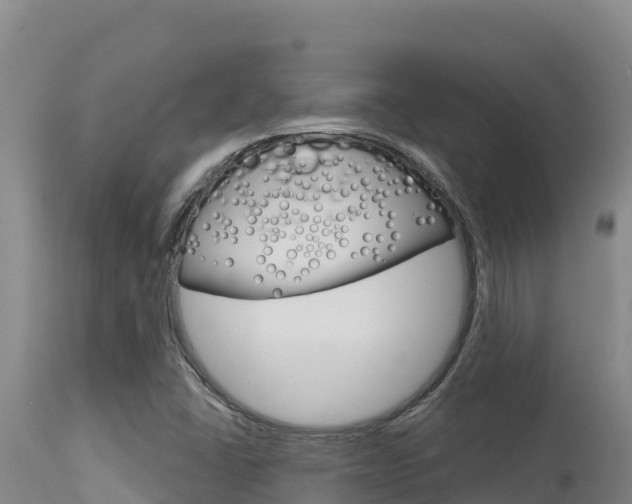 X0000115671406200911120956
