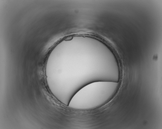 X0000115671407200911120956