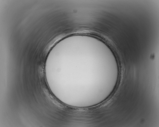 X0000115671409200911120956