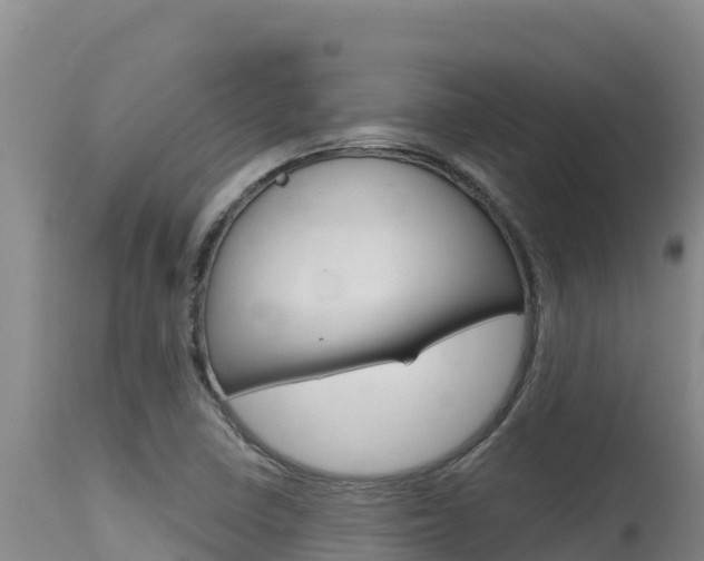 X0000115671410200911120956