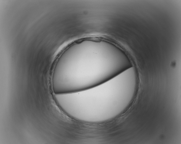 X0000115671412200911120956
