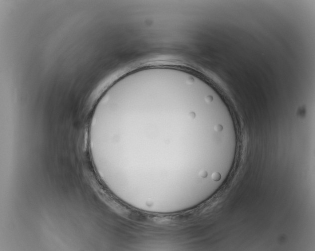 X0000115671413200911120956