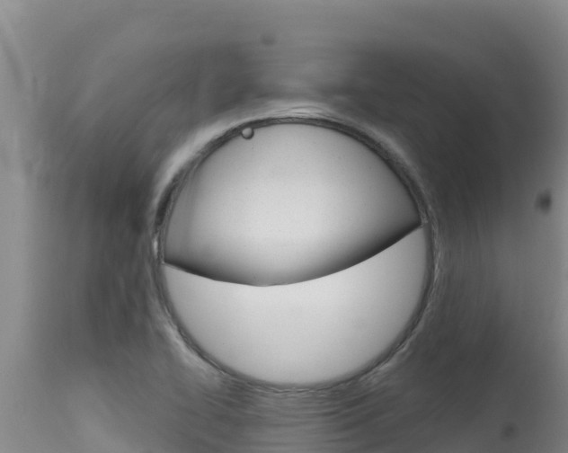 X0000115671414200911120956