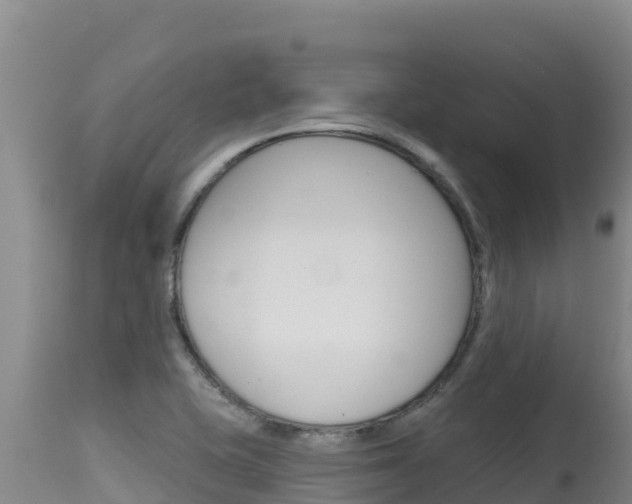 X0000115671415200911120956