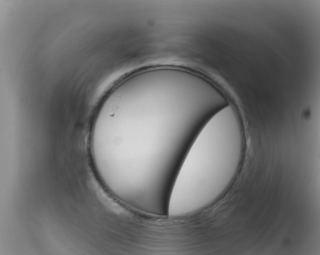 X0000115671416200911120956