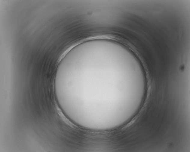 X0000115671417200911120956