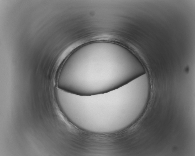 X0000115671418200911120956