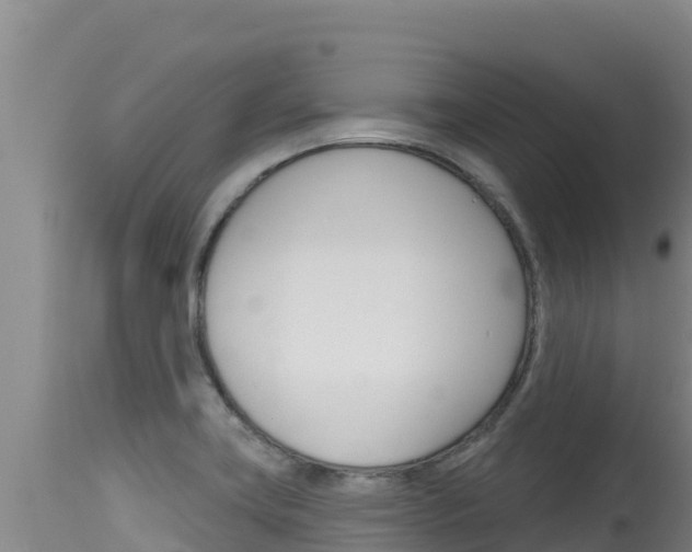X0000115671419200911120956
