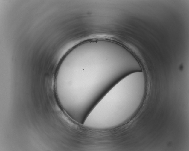 X0000115671420200911120956