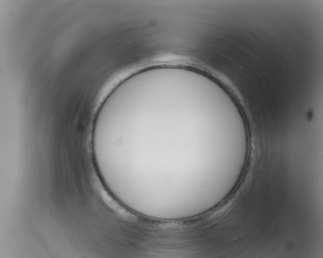 X0000115671421200911120956