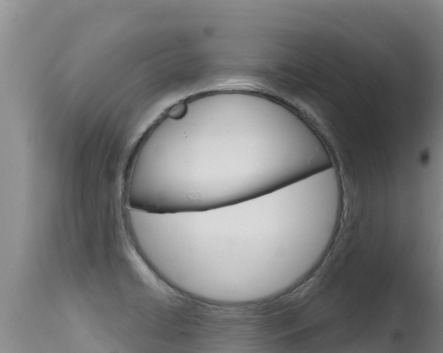 X0000115671422200911120956
