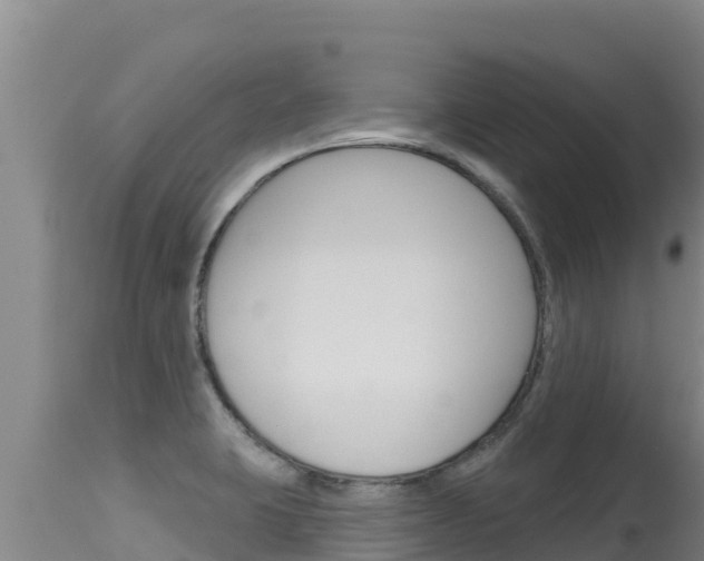 X0000115671423200911120956