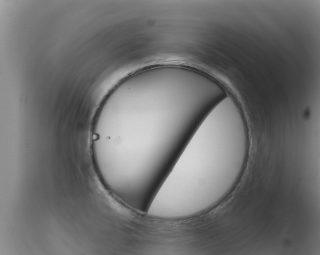 X0000115671424200911120956