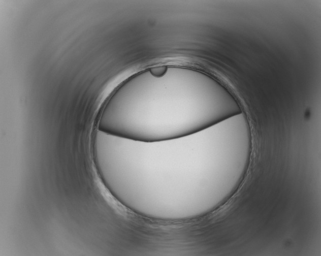 X0000115671426200911120956