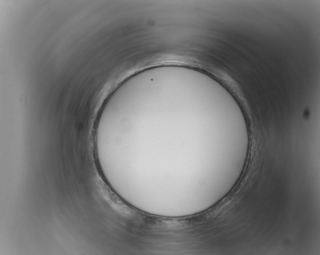 X0000115671427200911120956
