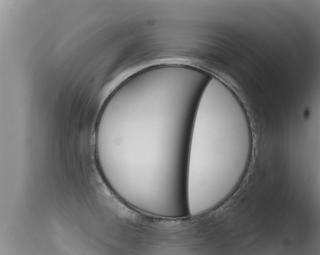 X0000115671428200911120956