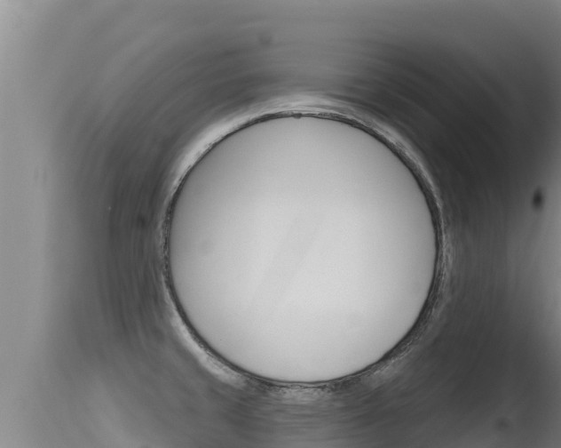 X0000115671429200911120956