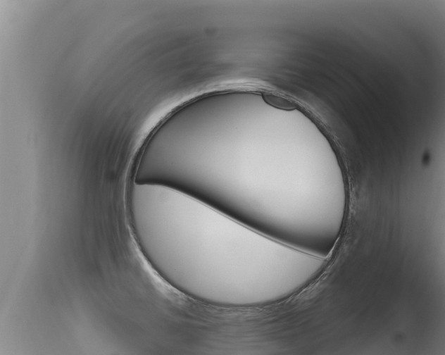 X0000115671430200911120956