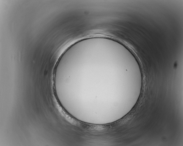 X0000115671431200911120956