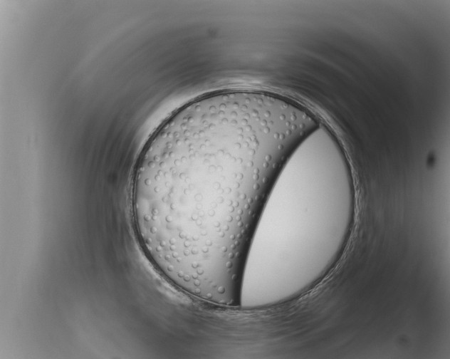 X0000115671432200911120956