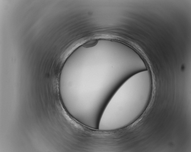 X0000115671433200911120956