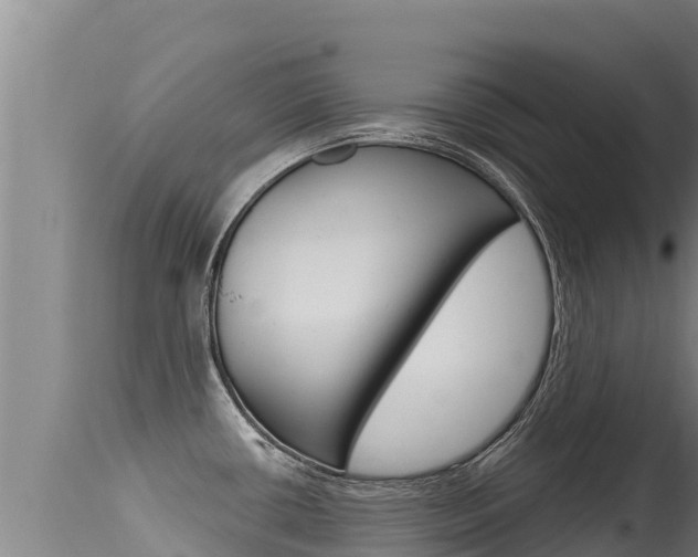 X0000115671434200911120956