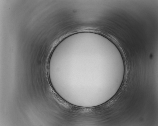 X0000115671435200911120956
