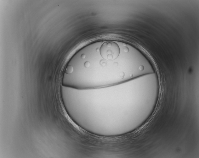 X0000115671437200911120956