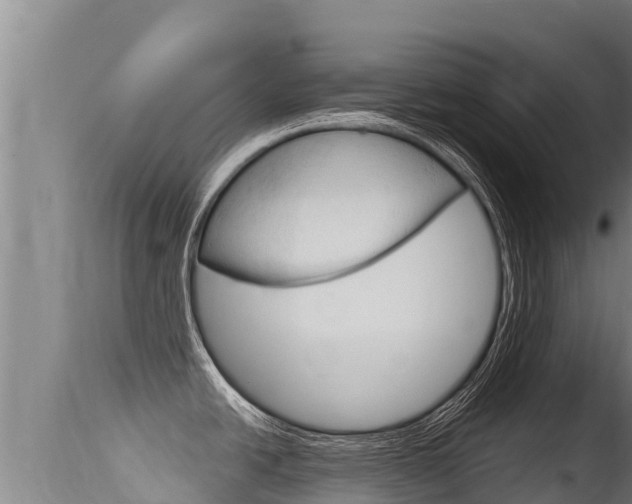 X0000115671438200911120956