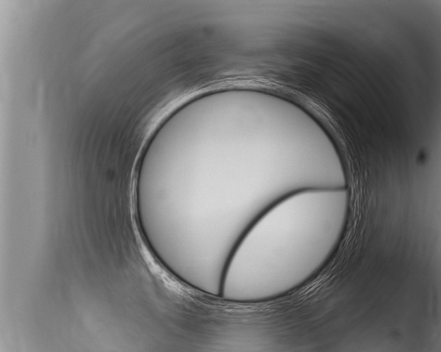 X0000115671439200911120956