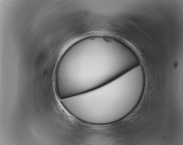 X0000115671440200911120956