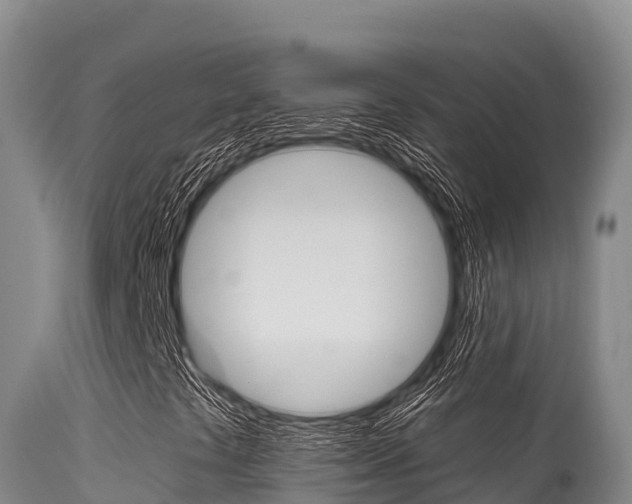X0000115671441200911120955